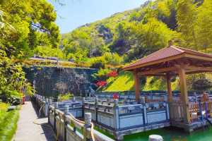 杭州市拱墅区半山公墓园区湖景图