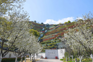 杭州市西湖区钱江陵园园区环境图