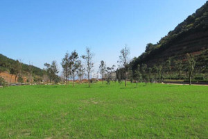 杭州市临平区杭州第三公墓园区环境图