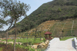 杭州市临平区杭州第三公墓园区环境图