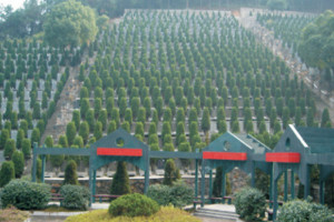 杭州市临平区临平公墓墓区环境图