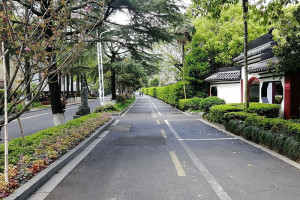 杭州市上城区南山陵园园区环境图