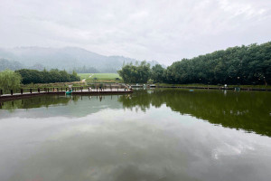 杭州市余杭区径山竹茶园园区湖景图