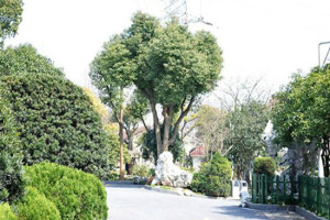 杭州市上城区南山陵园园区环境图