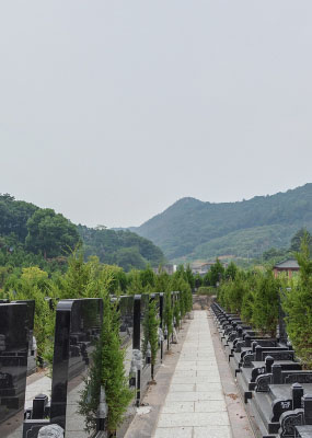 杭州市临平区印花坞公墓首页封面图