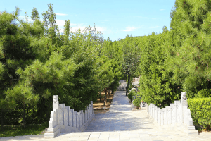 桃坞公墓景观图