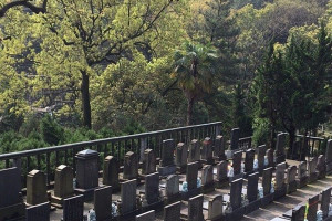 杭州市上城区南山陵园墓区环境图
