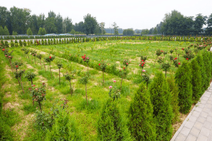 排门山公墓景观图