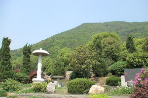 杭州市上城区龙居寺陵园园区环境图