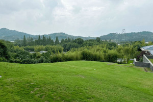 杭州市余杭区径山竹茶园园区环境图