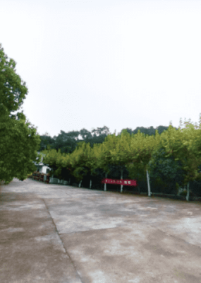 湖山公墓环境图