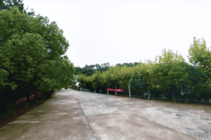 湖山公墓景观图