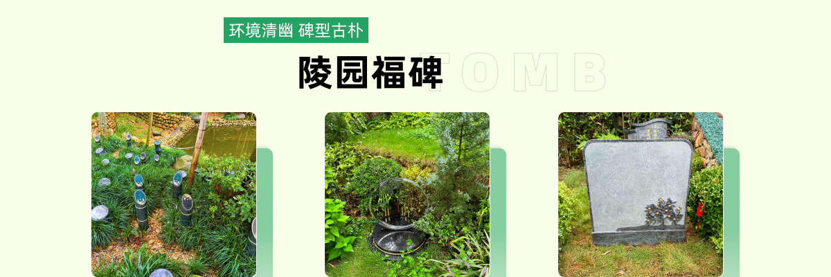 杭州市余杭区径山竹茶园
