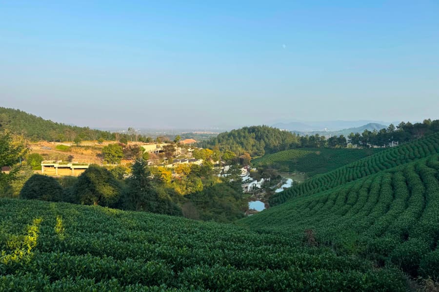 安吉龙山源园区景观图