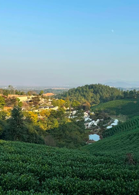 安吉龙山源人文纪念园