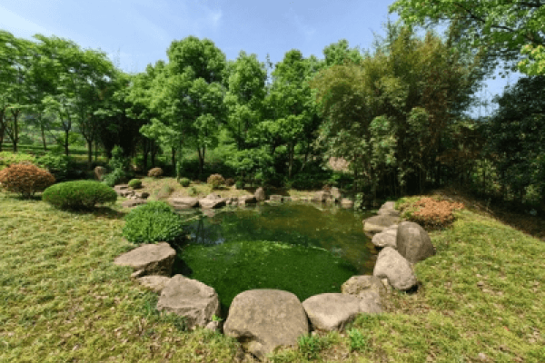 九华山大愿陵园环境